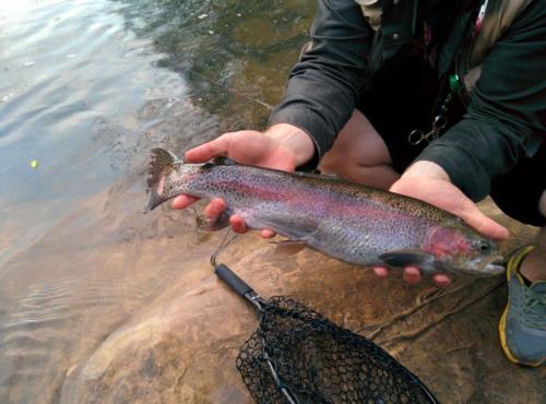 IMG 20150323 191225(1)