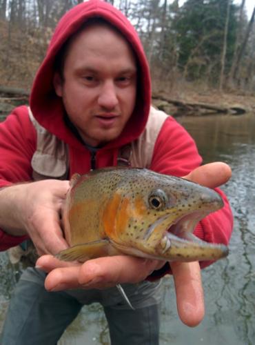 IMG 20150409 170425(1)