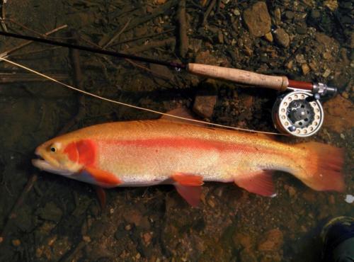 IMG 20150428 081752(1)