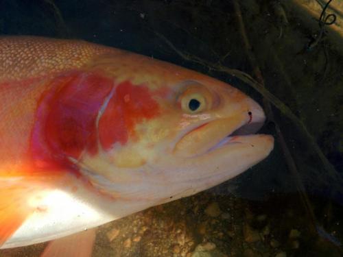 IMG 20150428 081913(1)