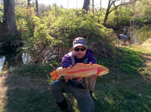 IMG 20150428 082344(1)