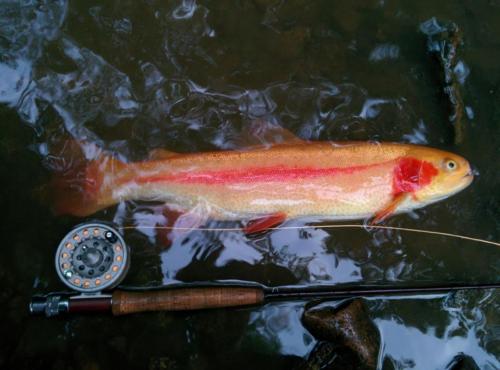 IMG 20150518 063620(1)