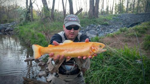 IMG 20160423 190728(1)