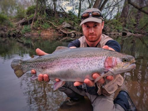 IMG 20170423 195117-01