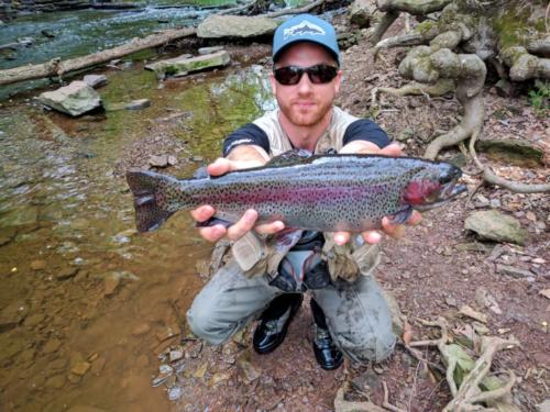 IMG 20170430 071603-01