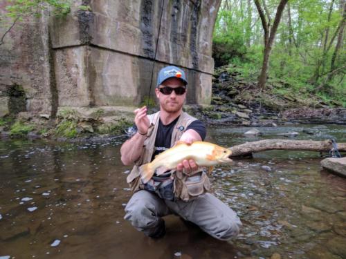 IMG 20170430 074801 1