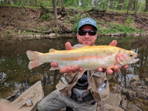 IMG 20170430 111512-01