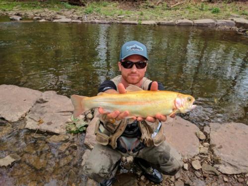 IMG 20170430 122546-01