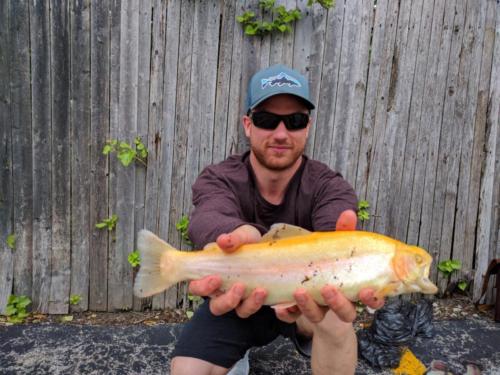 IMG 20170523 165011-01