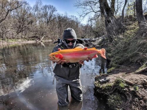 IMG 20180420 165008-01