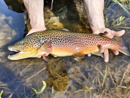 IMG 20180501 154409-01