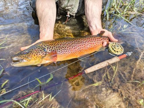 IMG 20180501 154435-01