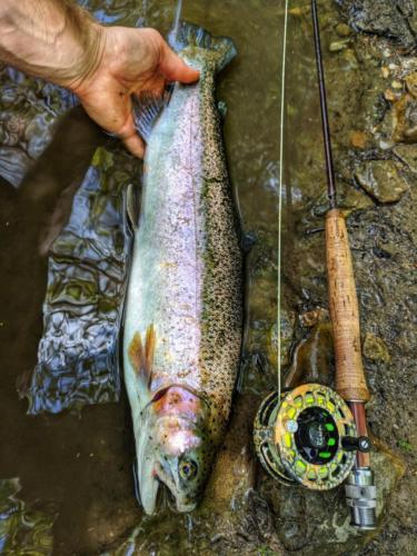 IMG 20180509 124635-01(1)