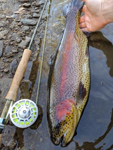 IMG 20190402 094058-01