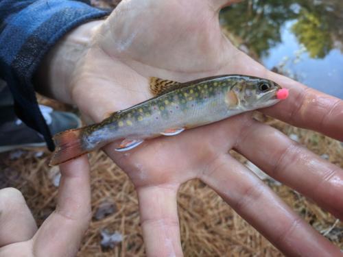 IMG 20191116 192514 01