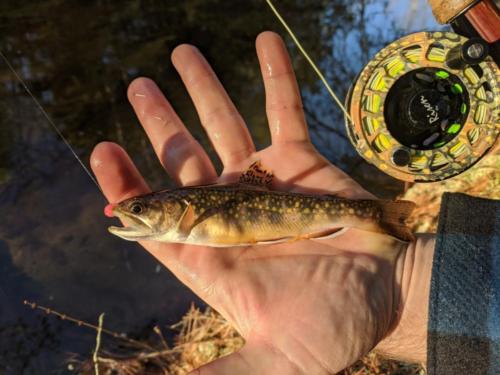 IMG 20191116 192518 01