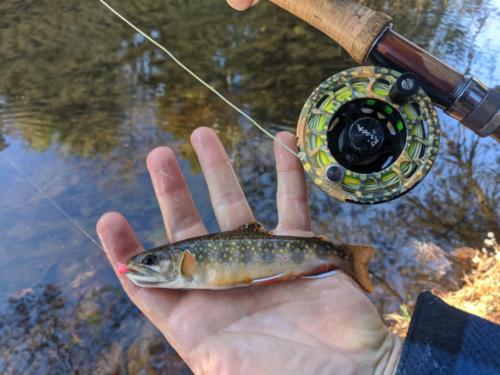 IMG 20191116 192520 01