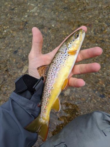 IMG 20200330 154103-01