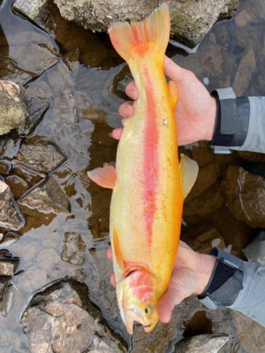 IMG 20200408 070354 191