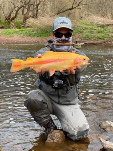 IMG 20200408 070432 338