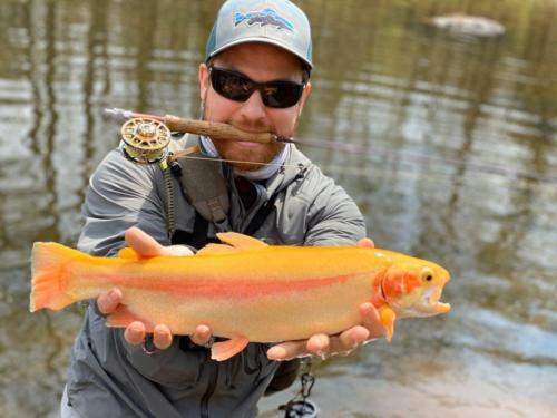 IMG 20200408 070736 916