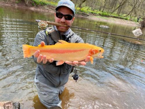 IMG 20200408 070738 879