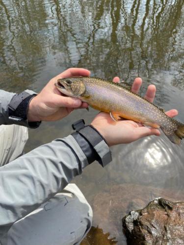 IMG 20200408 070747 853