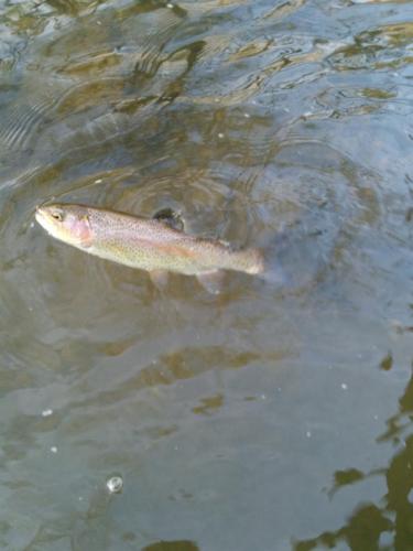 Ridley trip 3-19-15 - 4