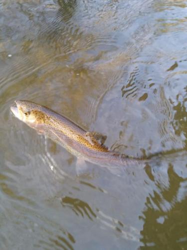 Ridley trip 3-19-15 - 5