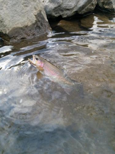 Ridley trip 3-19-15 - 6