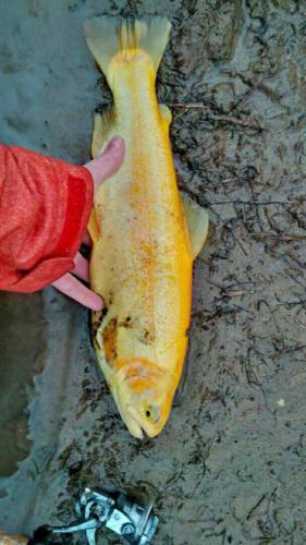 download 20140329 171318~2