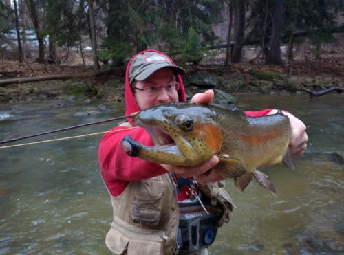 download 20160223 192959