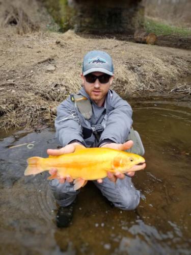 download 20180330 111945-01