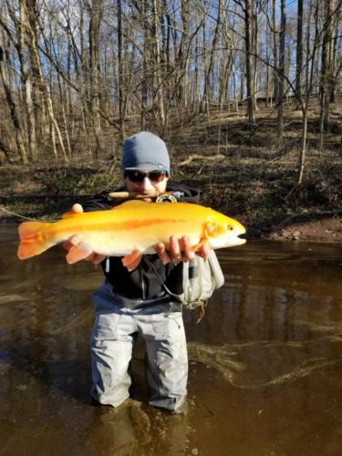 download 20180331 180120