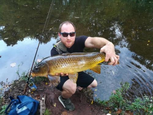 download 20181009 185719-01