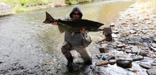 download 20181018 135424