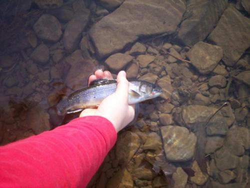 matt.fish.side.water